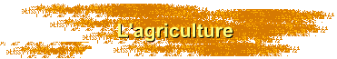L'agriculture