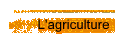 L'agriculture